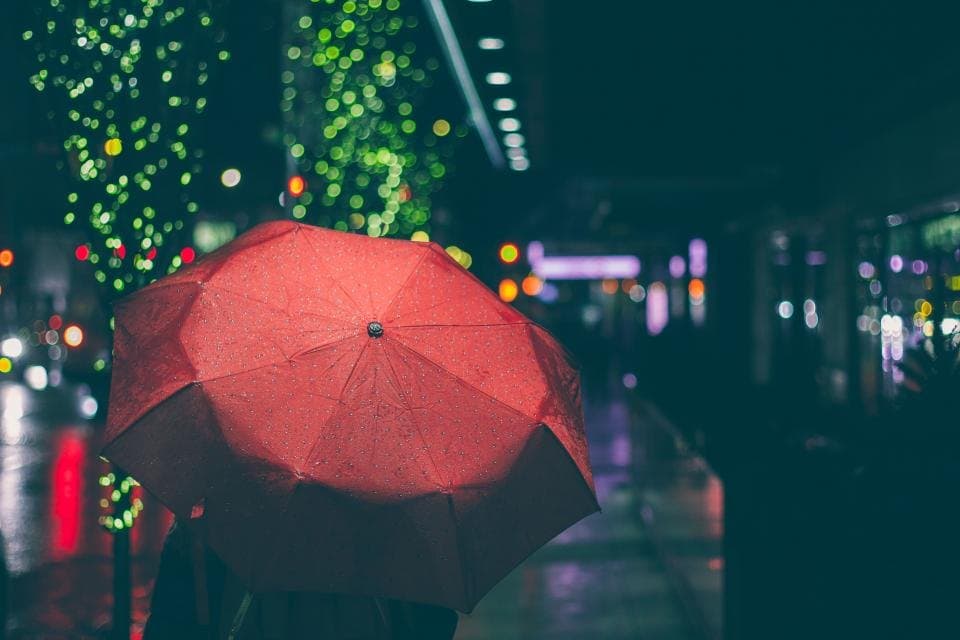 Canopy Compact Umbrella