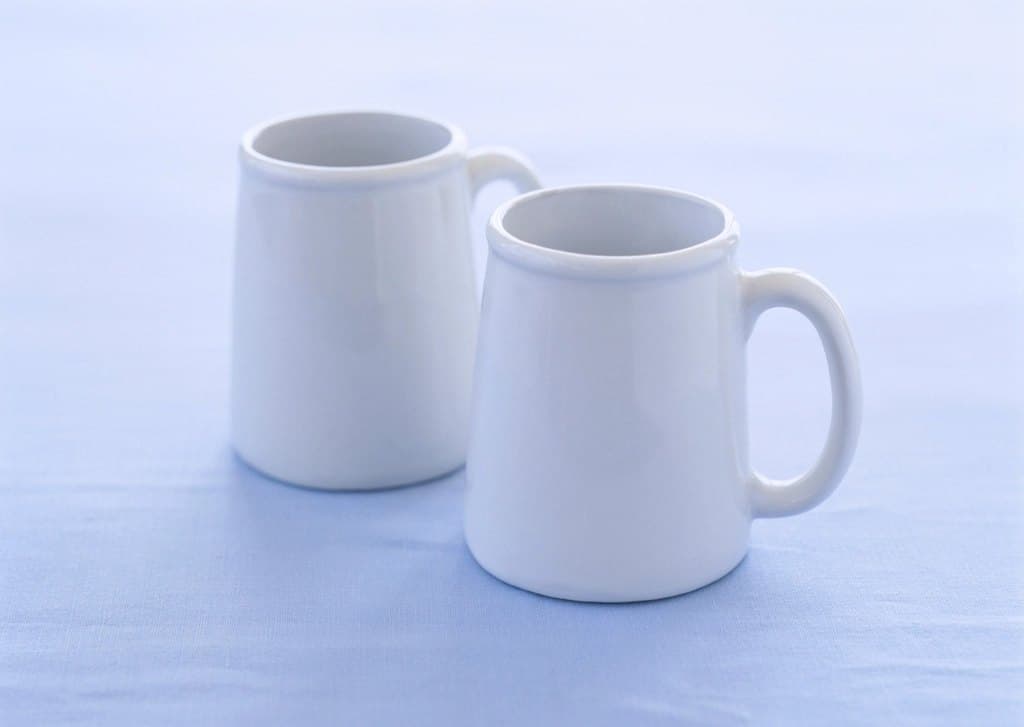 Elm White Mugs, Set of 2