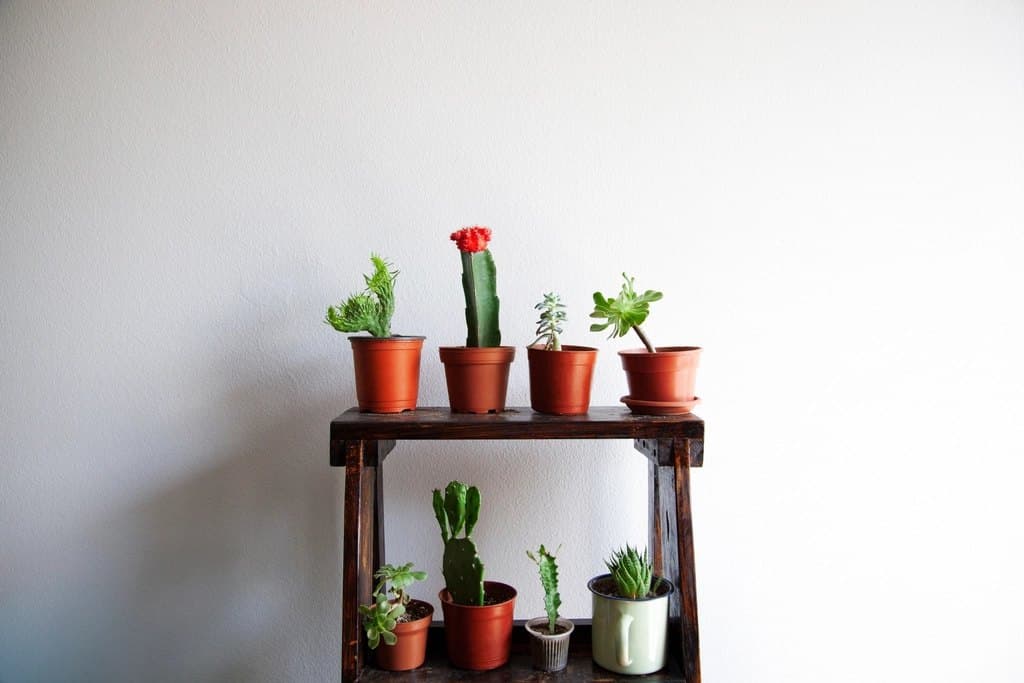 Linley Wall Shelf
