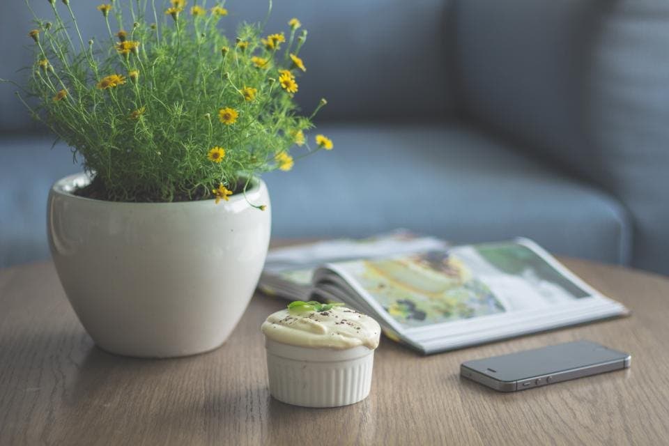Terra Stoneware Planter